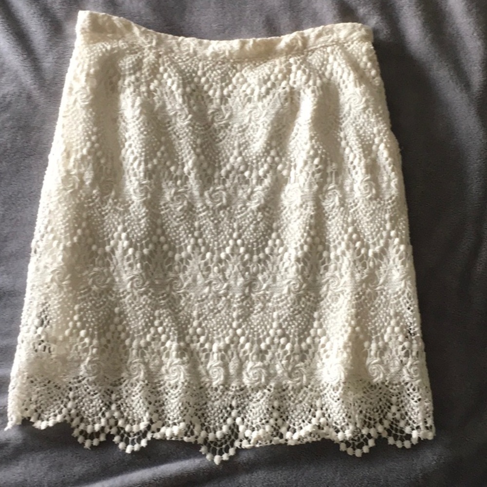 Lined Lace Skirt